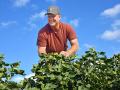 Kevin Ruyle works with cotton, the highly successful crop that brought him onto Buss Farms, Image by Jim Patrico